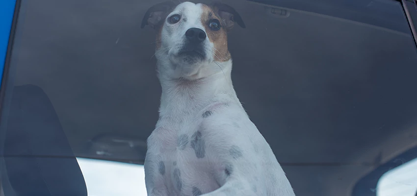 Car Lockout Solutions in Desert Hot Springs, California